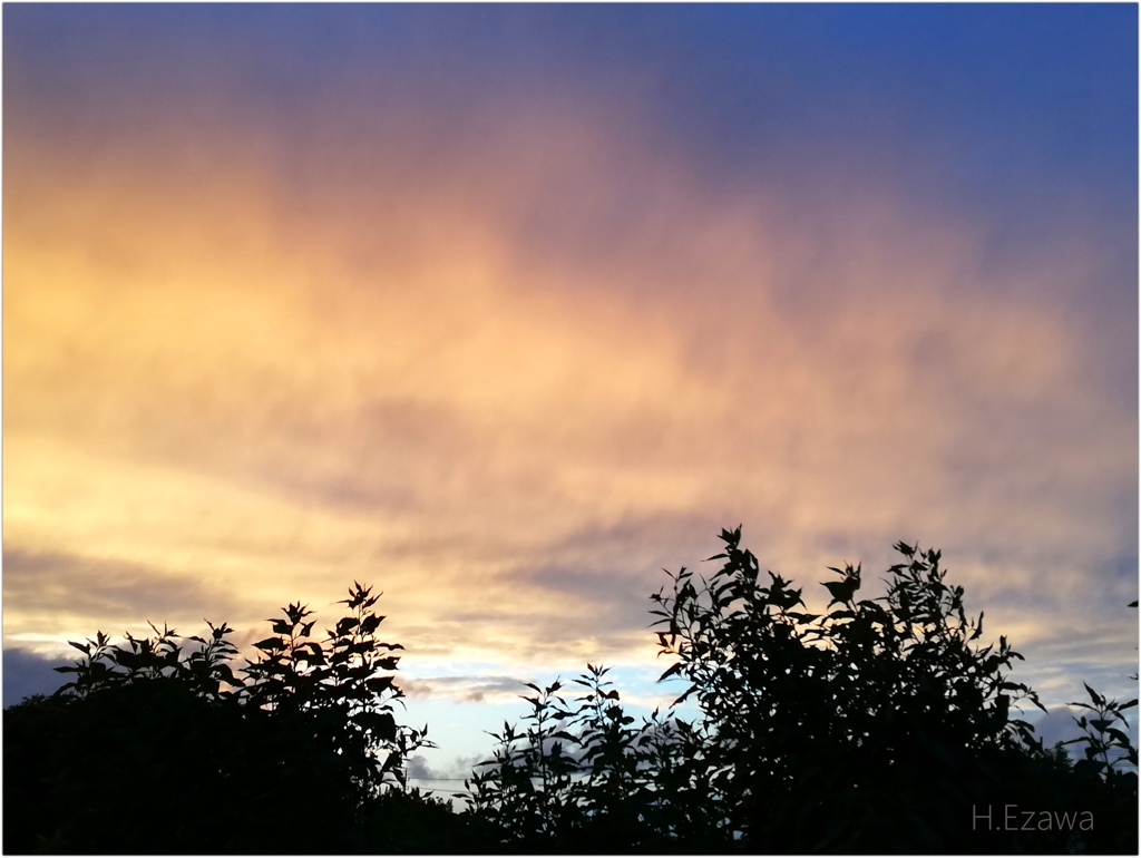 西の空