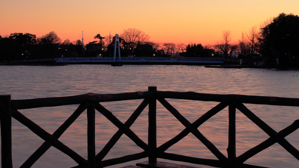 Bridge of the pond