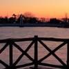 Bridge of the pond