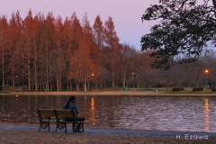 夕刻の池