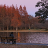 夕刻の池