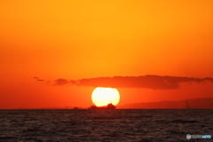 東京湾の夕日