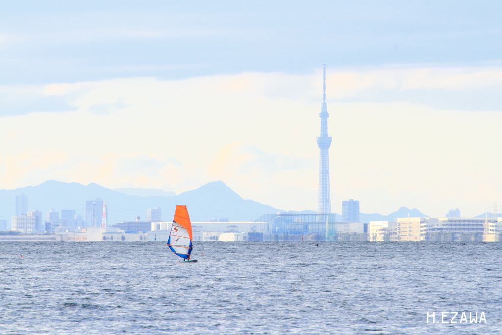 スカイツリーとウィンドサーフィン