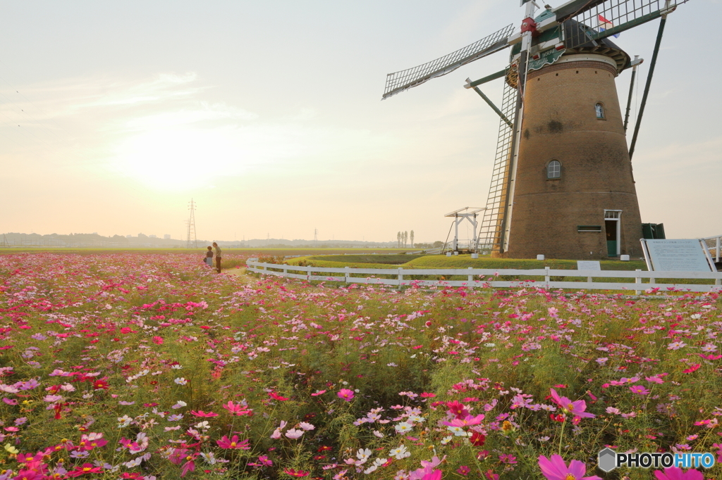 夕刻のオランダ広場