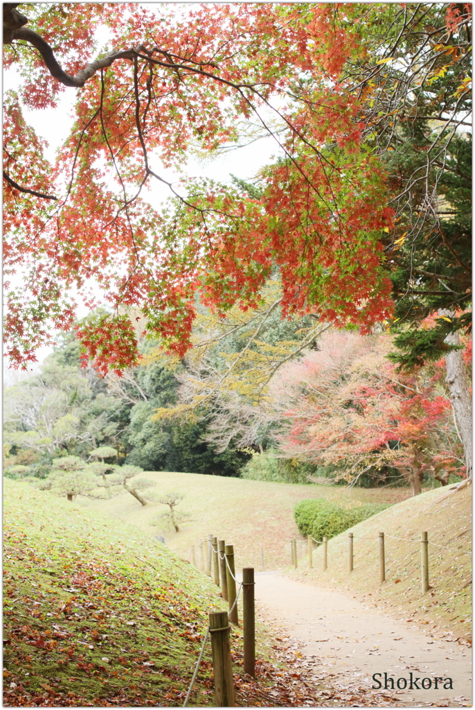 紅葉小路