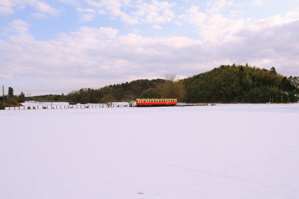 雪原に1両