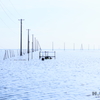久津間海岸
