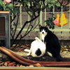 何見てんだよぉ(-_-)