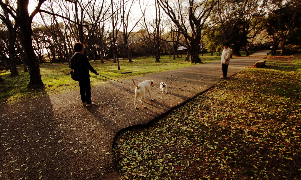 秋の日の接近遭遇^^;