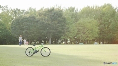 Autumn park