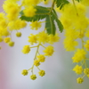 Three colors
