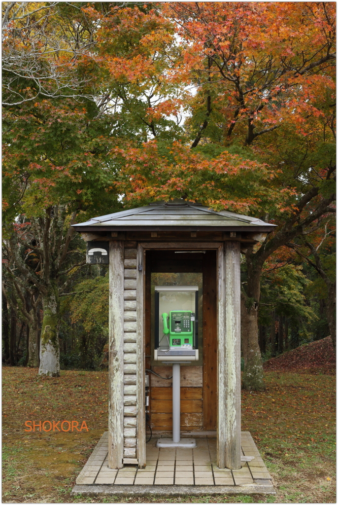 電話ボックスと紅葉