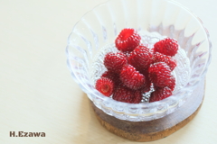 畑からテーブルへ