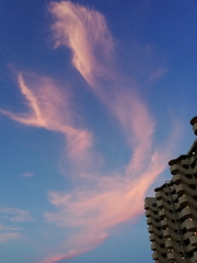 8月9日の東の空