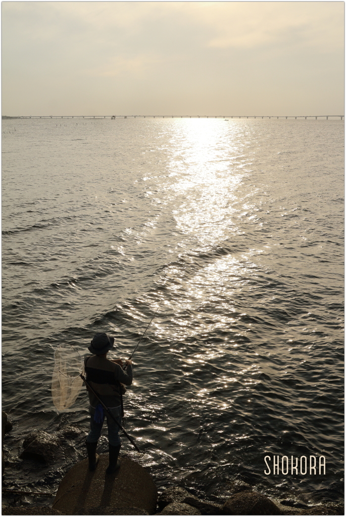Angler