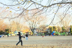 晩秋の公園広場