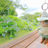 スナフキンと紫陽花駅