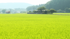 夕日さす田園駅