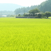 夕日さす田園駅