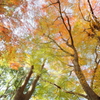 グラデーションの空Ⅱ