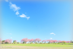 牧場の春