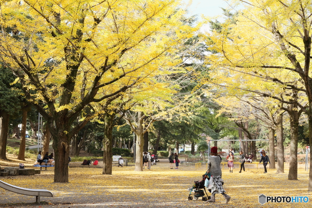 銀杏広場