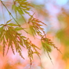 薄化粧