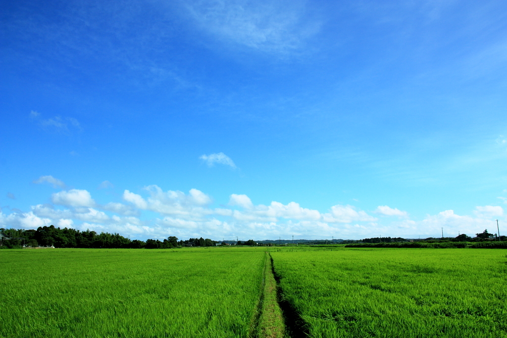 田園の青空