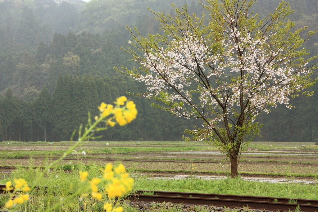 線路のある風景～ムーミン谷～