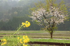 線路のある風景～ムーミン谷～