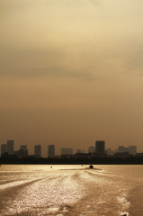 金色東京湾