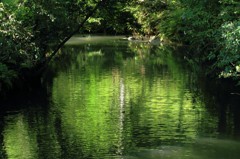 緑の小川
