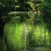 緑の小川