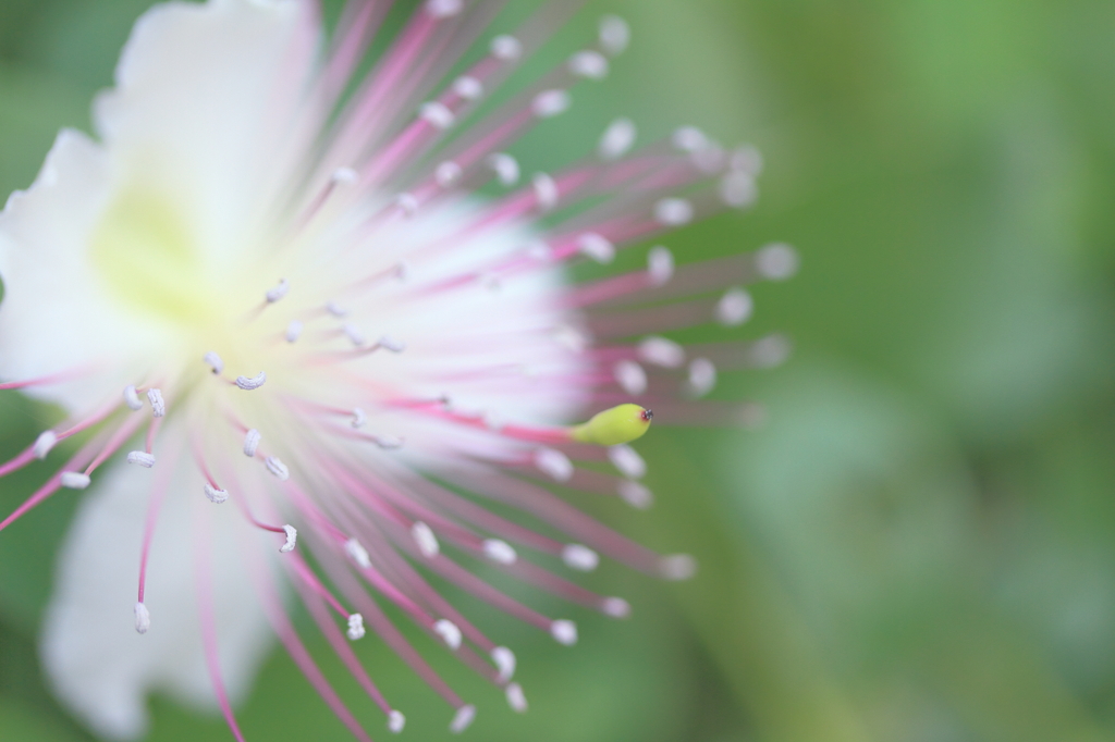 飛び出せ青春^^