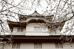 城と桜