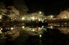 桜池Ⅲ