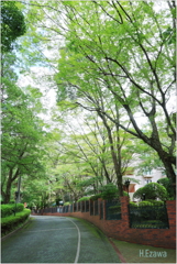 赤レンガの続く道 Ⅱ 赤レンガの続く道 Ⅱ
