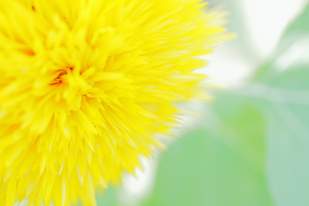 Yellow power