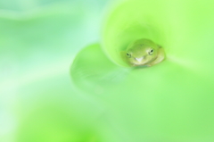 いごごちのいい場所Ⅱ