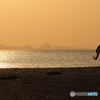 Woman windsurfer