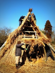 竪穴式住居を作る