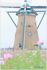 オランダ風車Ⅱ