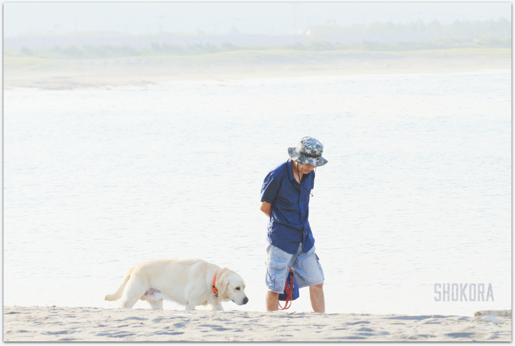 海岸散歩