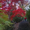遊歩階段の紅葉