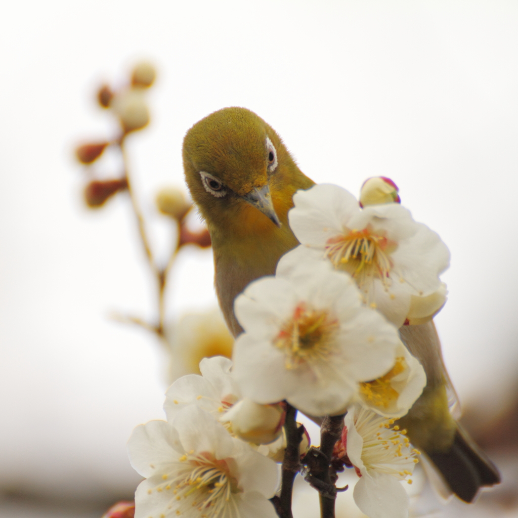 食事中ですけど何か？