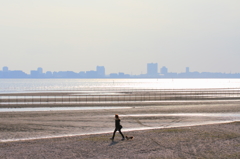 湾岸散歩