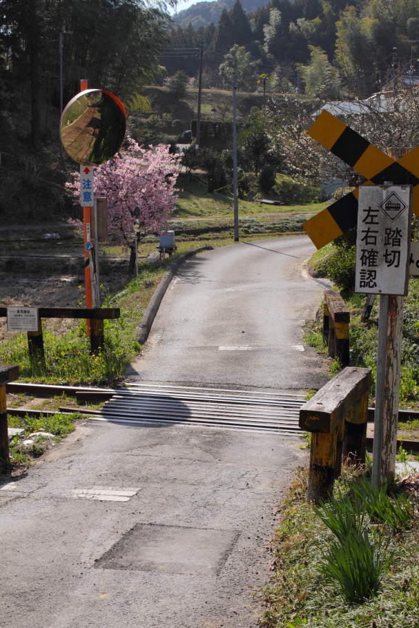 左右をよく見て渡りましょう