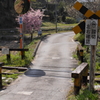 左右をよく見て渡りましょう
