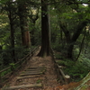 笠森寺自然林3