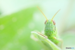 やぁ、元気かい？